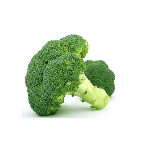 Brocoli Primera Unidad