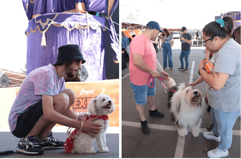 Expo Mascotas Cugat 2023 Expo Mascotas Cugat 2023