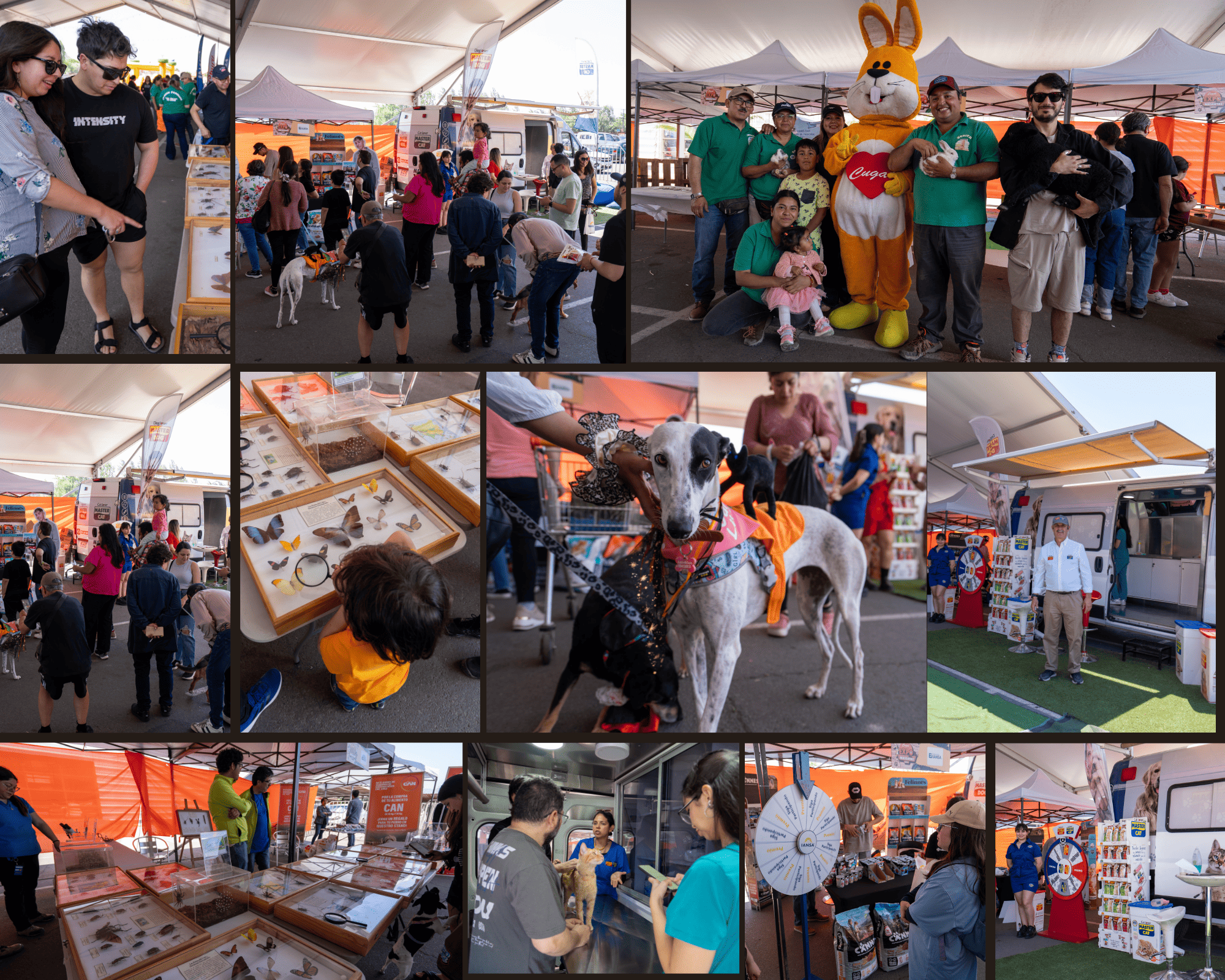 ¡Expo-Mascotas 2024: Un Día de Diversión y Peludos! ¡Expo-Mascotas 2024: Un Día de Diversión y Peludos!