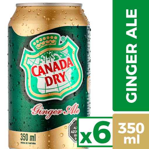 Pack Bebida Lata Ginger Ale 350cc  X 6 Und.